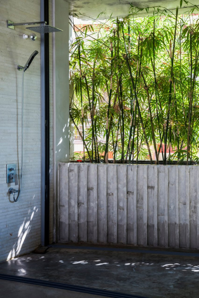 Бамбук в интерьере – новый тренд экодизайна (50 фото идей)