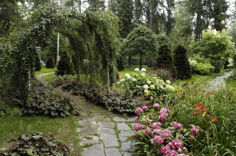 Цветущие растения для сада в тени: советы по выбору