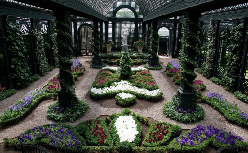 Цветущие растения для сада в тени: советы по выбору