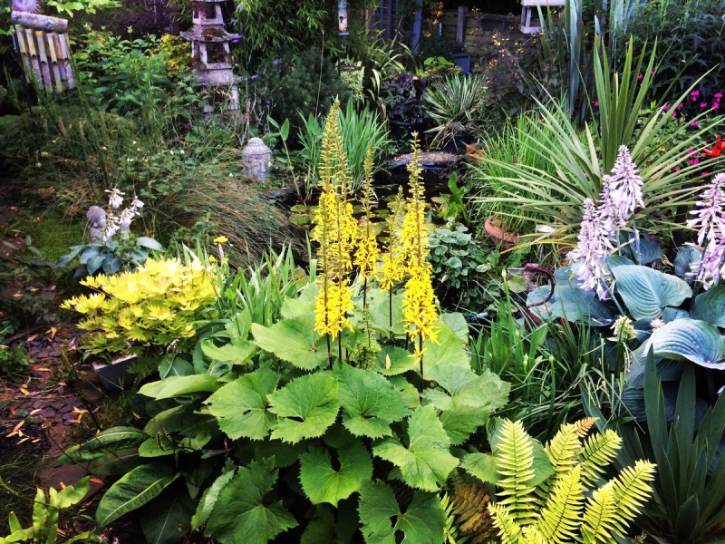 Цветущие растения для сада в тени: советы по выбору