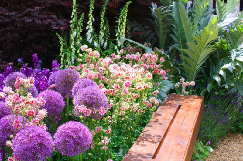 Цветущие растения для сада в тени: советы по выбору