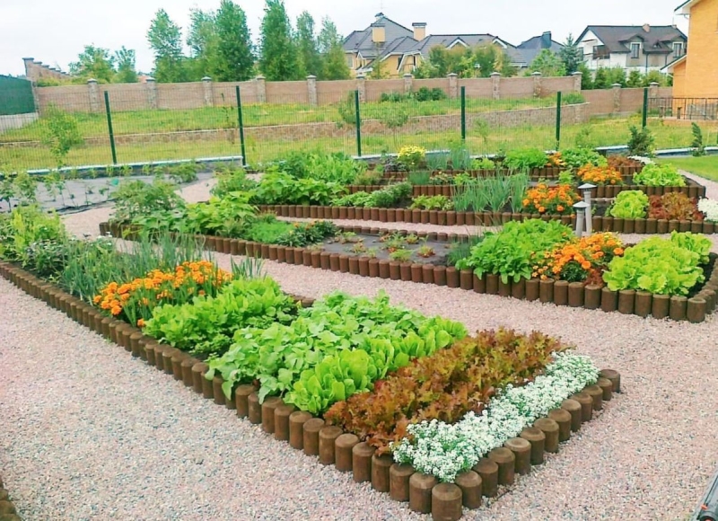 Огородные секреты: создаем уютный уголок для выращивания овощей и зелени