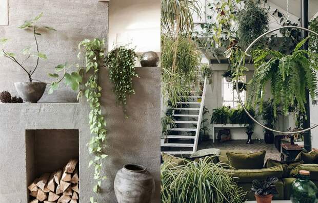 Биофильный дизайн: принципы и примеры