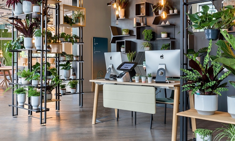 Биофильный дизайн: принципы и примеры