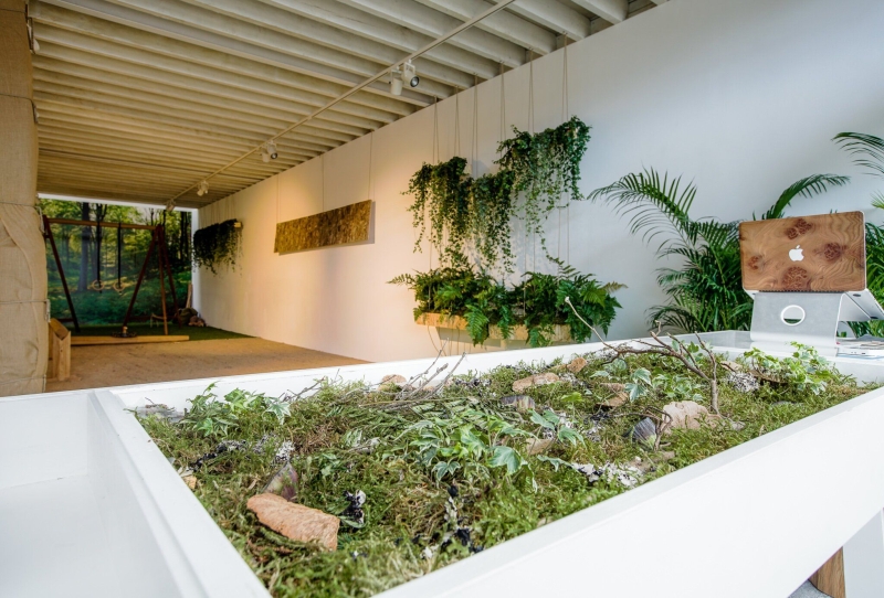 Биофильный дизайн: принципы и примеры