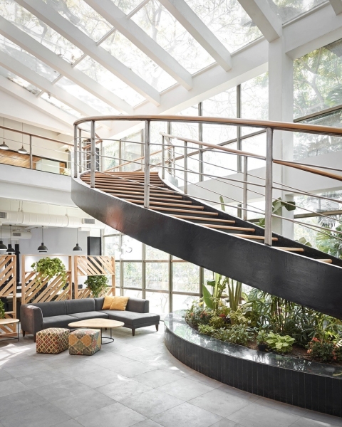 Биофильный дизайн: принципы и примеры