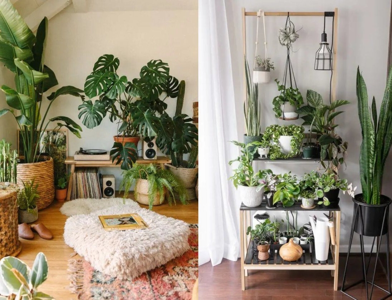 Биофильный дизайн: принципы и примеры