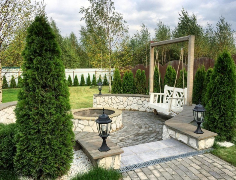 Лучшие тенелюбивые растения для сада: названия и особенности