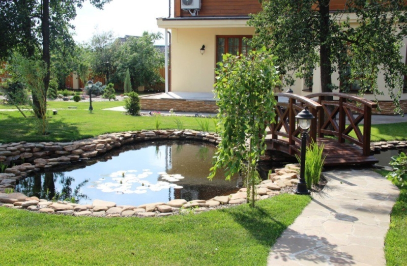 Лучшие тенелюбивые растения для сада: названия и особенности