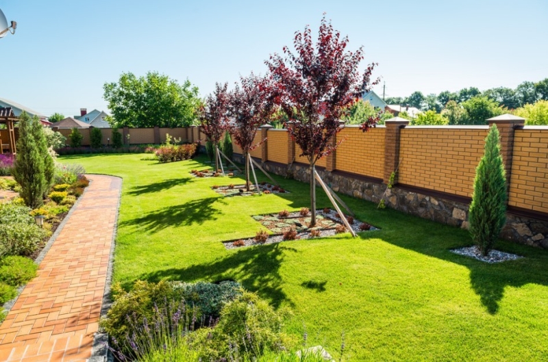 Лучшие тенелюбивые растения для сада: названия и особенности