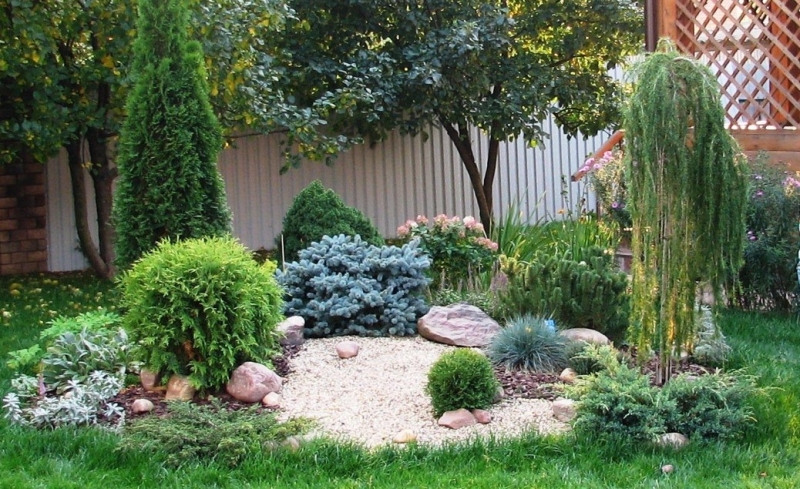 Лучшие тенелюбивые растения для сада: названия и особенности