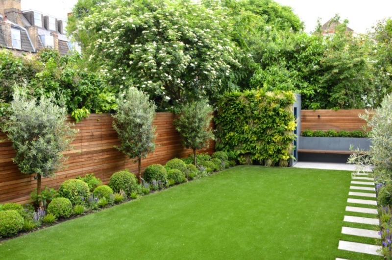 Лучшие тенелюбивые растения для сада: названия и особенности