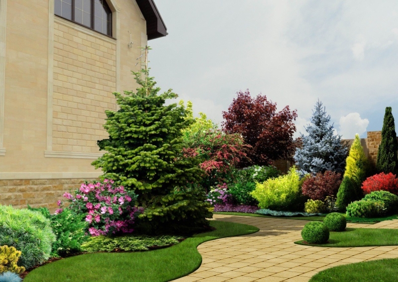 Лучшие тенелюбивые растения для сада: названия и особенности