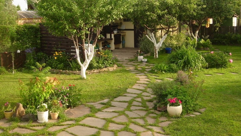 Лучшие тенелюбивые растения для сада: названия и особенности