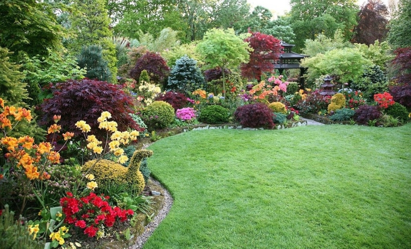 Лучшие тенелюбивые растения для сада: названия и особенности