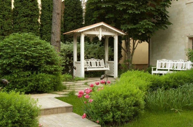 Лучшие тенелюбивые растения для сада: названия и особенности