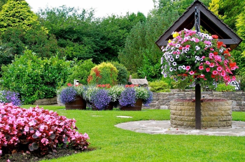 Лучшие тенелюбивые растения для сада: названия и особенности