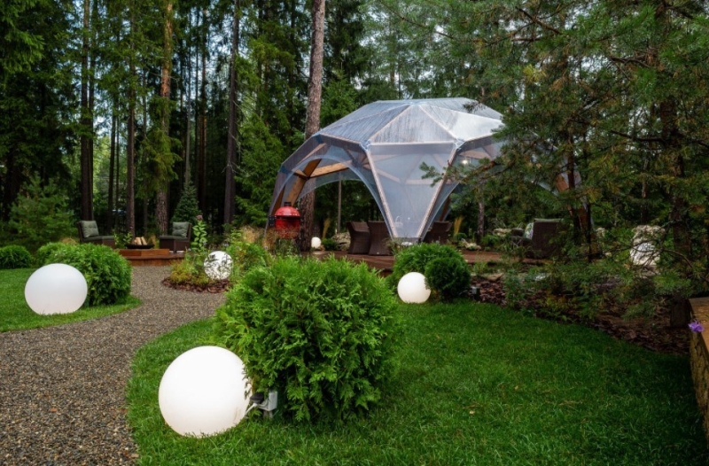 Лучшие тенелюбивые растения для сада: названия и особенности