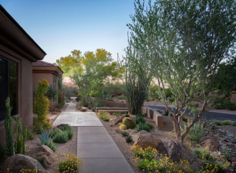 Лучшие тенелюбивые растения для сада: названия и особенности