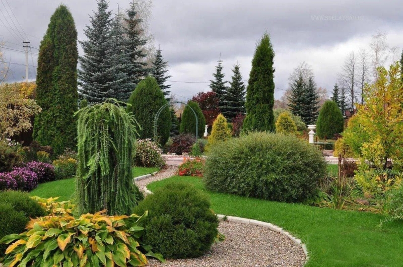 Лучшие тенелюбивые растения для сада: названия и особенности