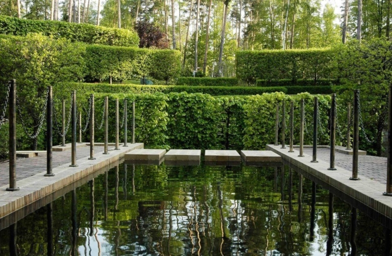 Лучшие тенелюбивые растения для сада: названия и особенности