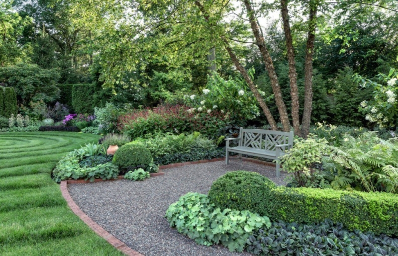 Лучшие тенелюбивые растения для сада: названия и особенности