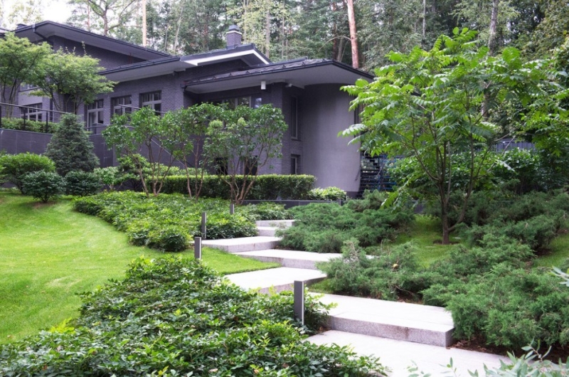 Лучшие тенелюбивые растения для сада: названия и особенности