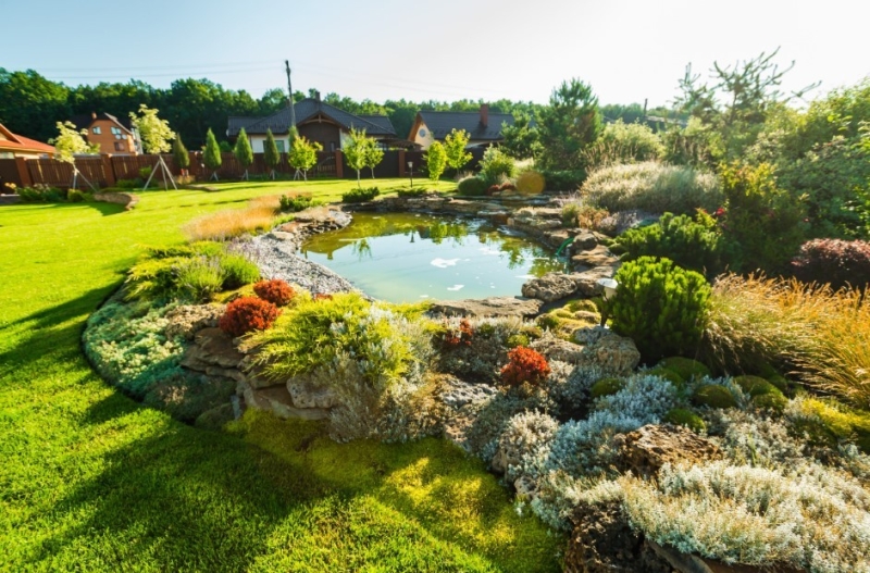 Лучшие тенелюбивые растения для сада: названия и особенности