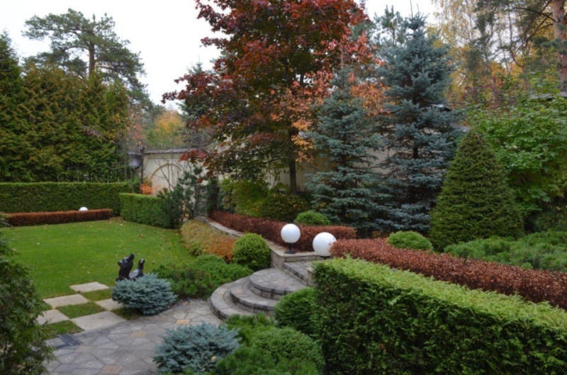 Лучшие тенелюбивые растения для сада: названия и особенности