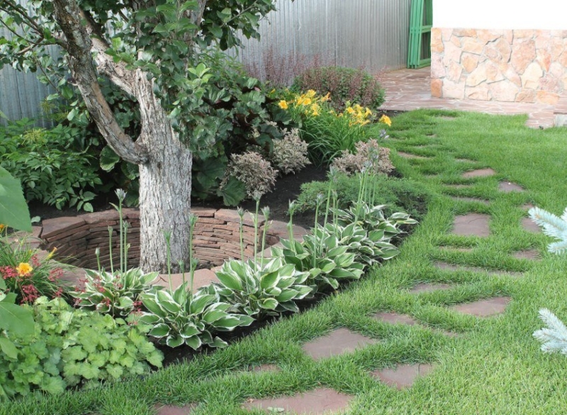 Лучшие тенелюбивые растения для сада: названия и особенности