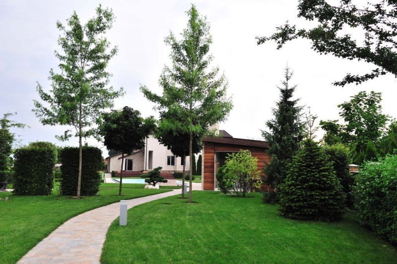 Лучшие тенелюбивые растения для сада: названия и особенности