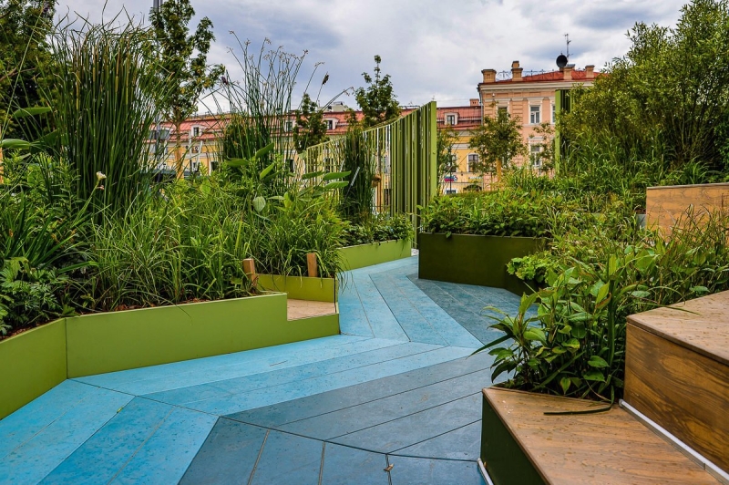 Лучшие тенелюбивые растения для сада: названия и особенности