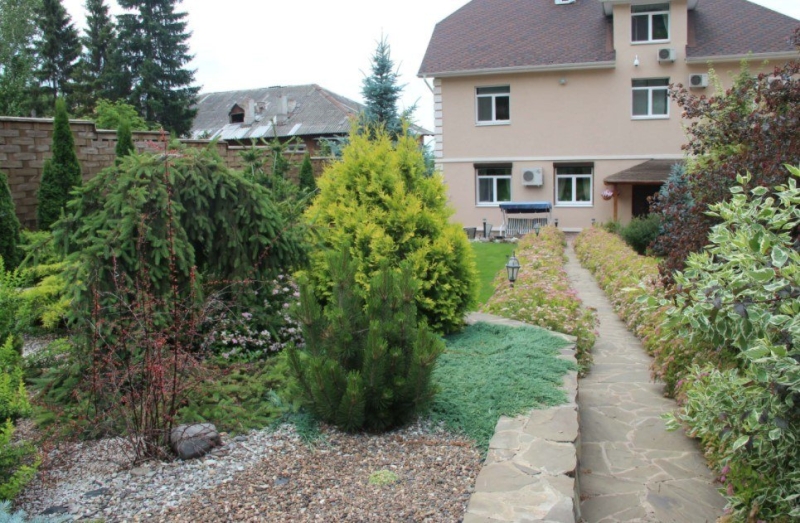 Лучшие тенелюбивые растения для сада: названия и особенности