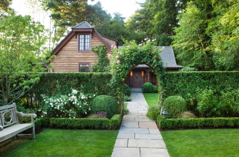 Лучшие тенелюбивые растения для сада: названия и особенности