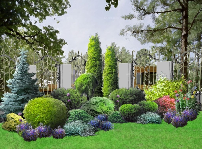 Лучшие тенелюбивые растения для сада: названия и особенности