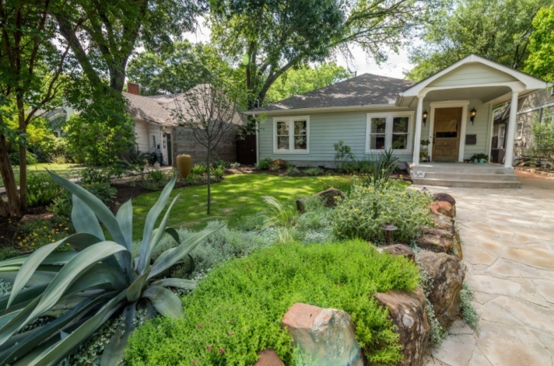 Лучшие тенелюбивые растения для сада: названия и особенности