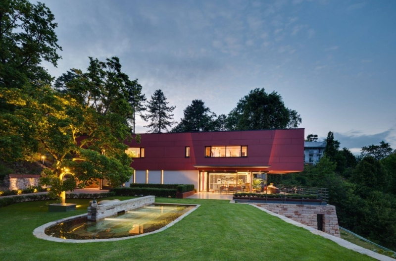 Лучшие тенелюбивые растения для сада: названия и особенности