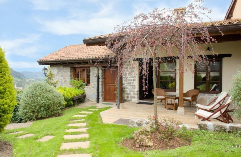 Лучшие тенелюбивые растения для сада: названия и особенности