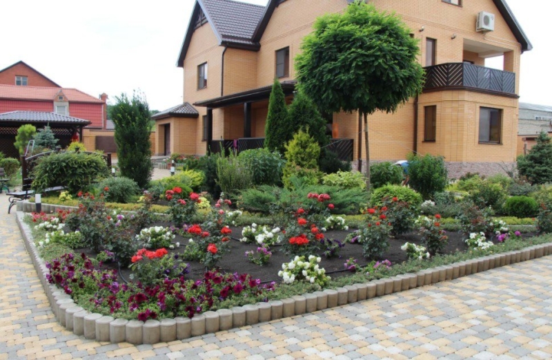 Лучшие тенелюбивые растения для сада: названия и особенности