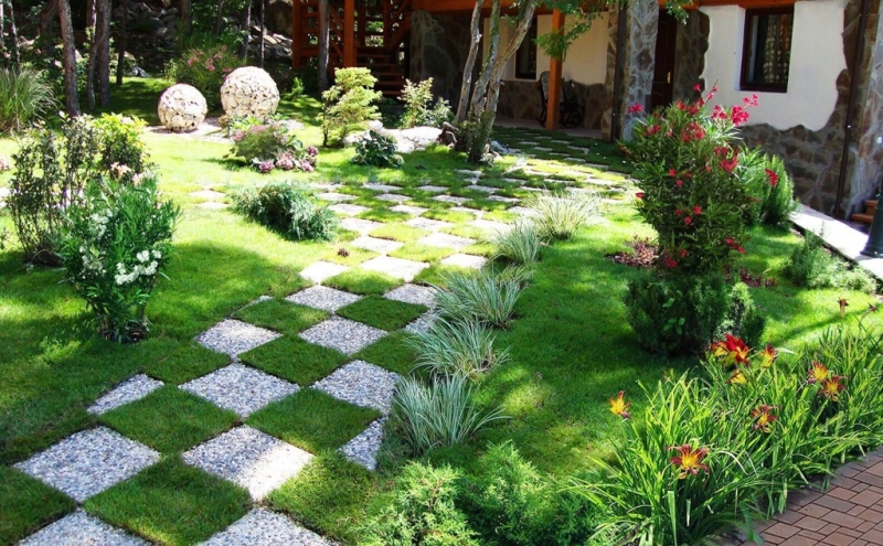 Лучшие тенелюбивые растения для сада: названия и особенности