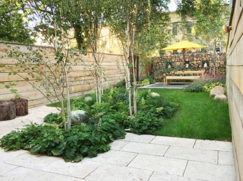 Лучшие тенелюбивые растения для сада: названия и особенности