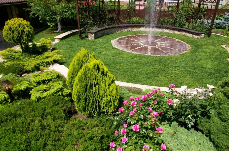 Лучшие тенелюбивые растения для сада: названия и особенности