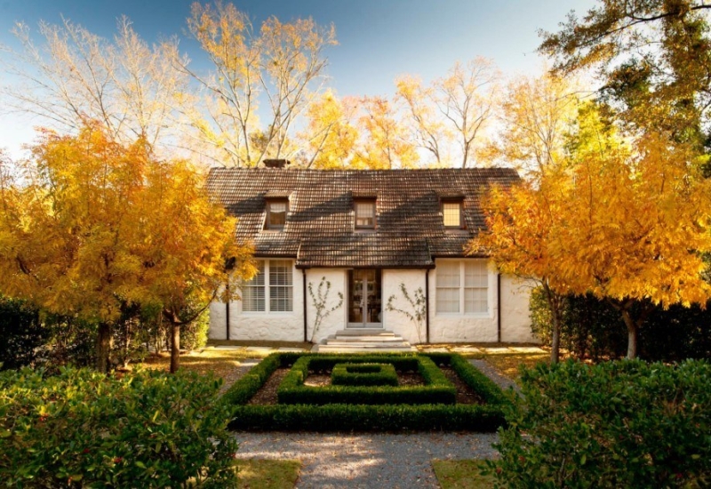 Лучшие тенелюбивые растения для сада: названия и особенности