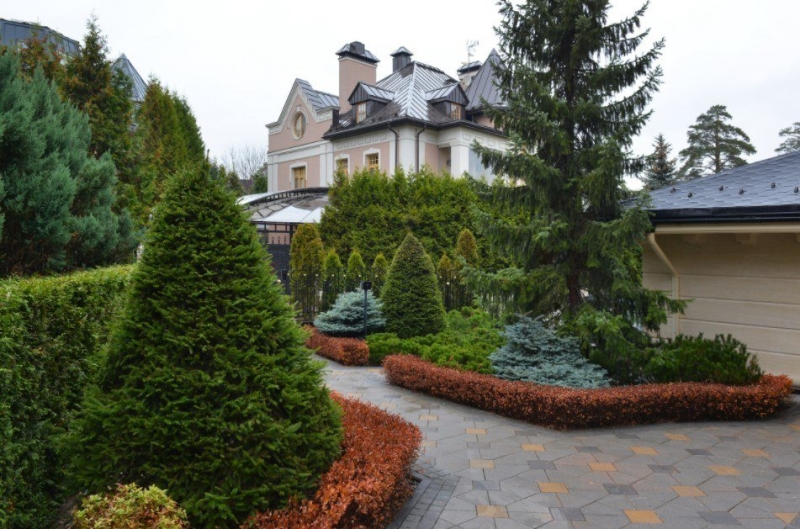 Лучшие тенелюбивые растения для сада: названия и особенности