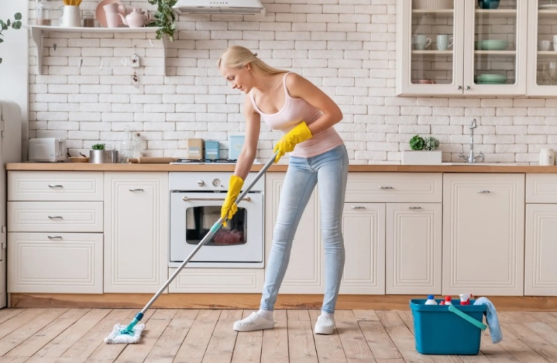 Паровая и обычная швабра: в чем разница и что выбрать?
