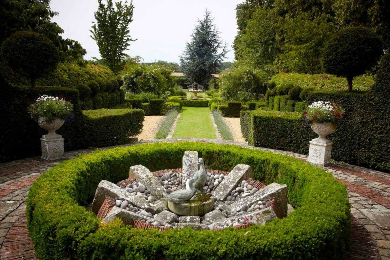 Лучшие тенелюбивые растения для сада: названия и особенности