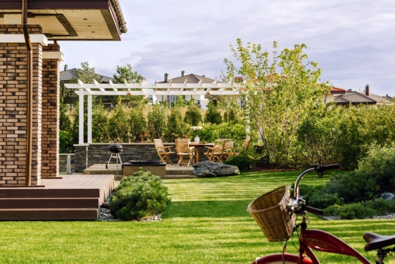 Лучшие тенелюбивые растения для сада: названия и особенности