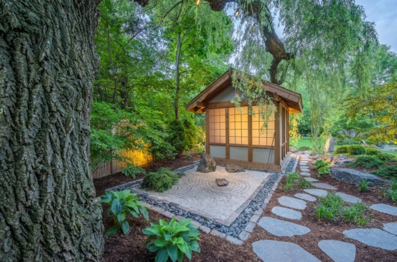 Лучшие тенелюбивые растения для сада: названия и особенности