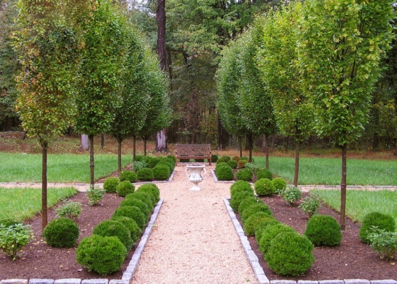 Лучшие тенелюбивые растения для сада: названия и особенности