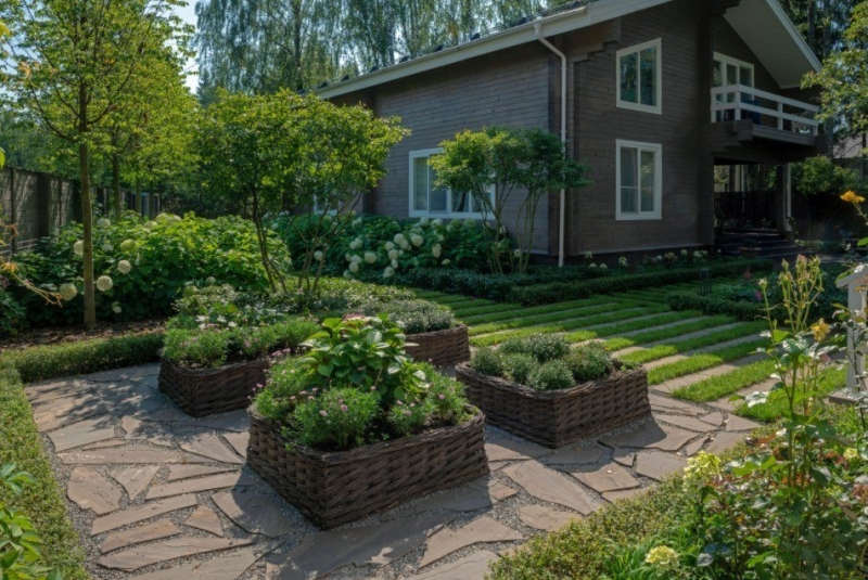 Лучшие тенелюбивые растения для сада: названия и особенности